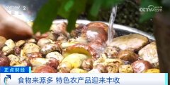 面、揉面、醒发